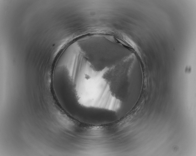 X0000090770059200708101819