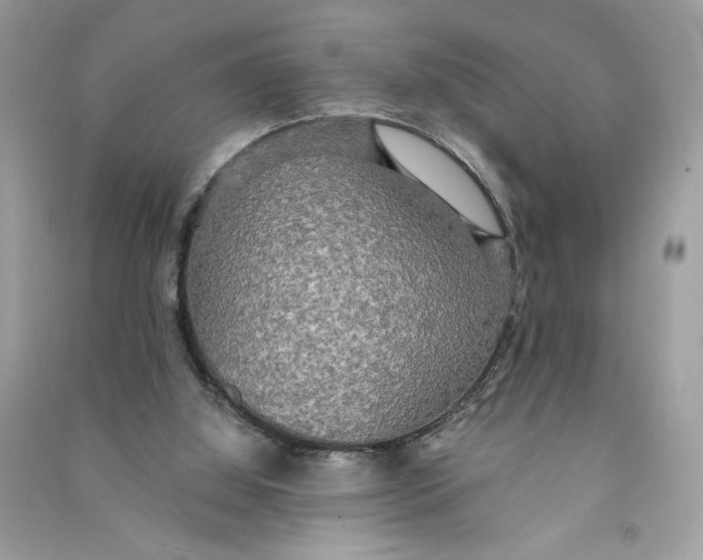 X0000090770060200708101819
