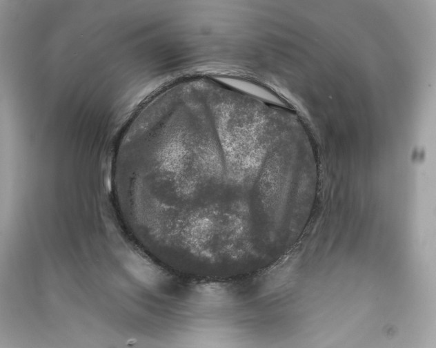 X0000090770062200708101819