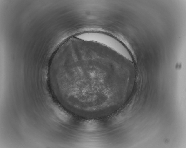 X0000090770063200708101819