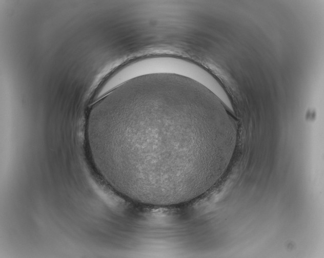 X0000090770064200708101819