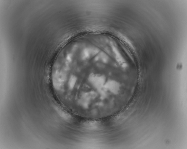 X0000090770065200708101819