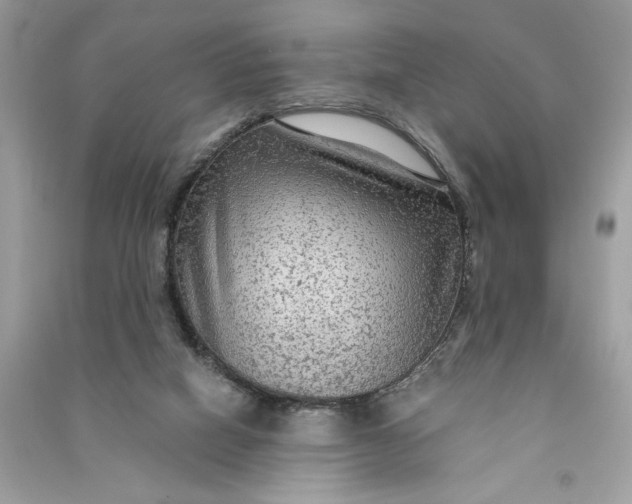 X0000090770066200708101819