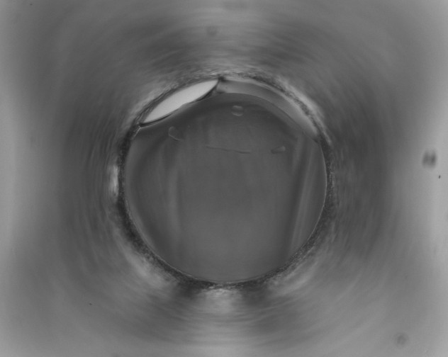 X0000090770067200708101819
