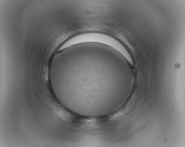 X0000090770068200708101819