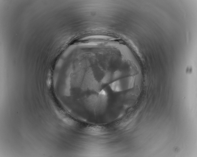 X0000090770069200708101819