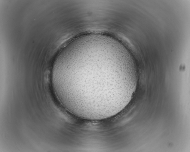 X0000090770071200708101819