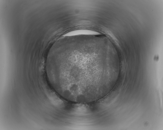 X0000090770073200708101819