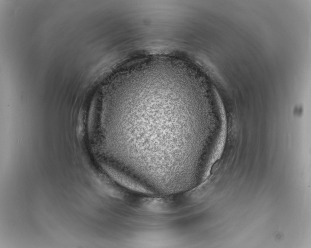 X0000090770074200708101819