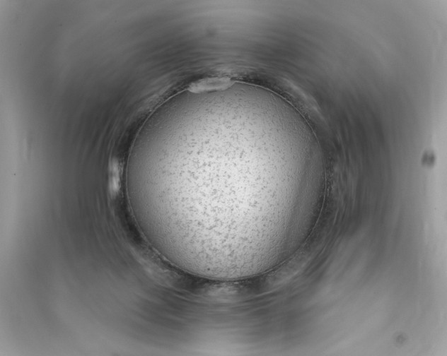 X0000090770075200708101819