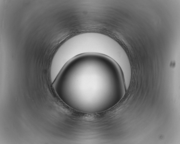 X0000090770076200708101819