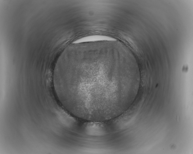 X0000090770077200708101819