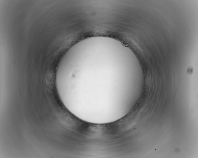X0000090770079200708101819