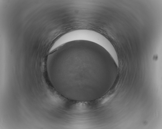 X0000090770080200708101819