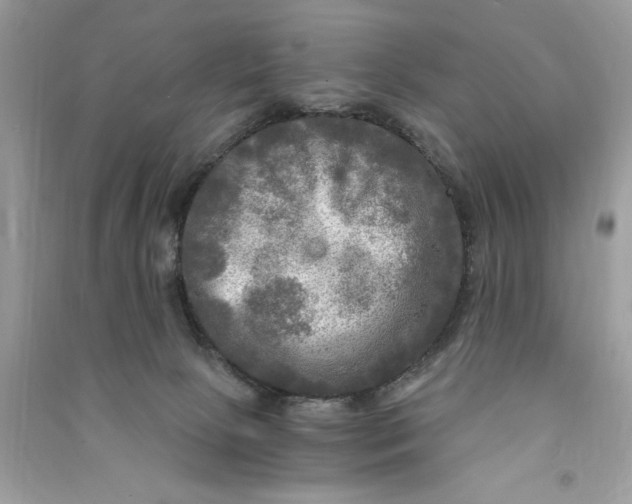 X0000090770081200708101819
