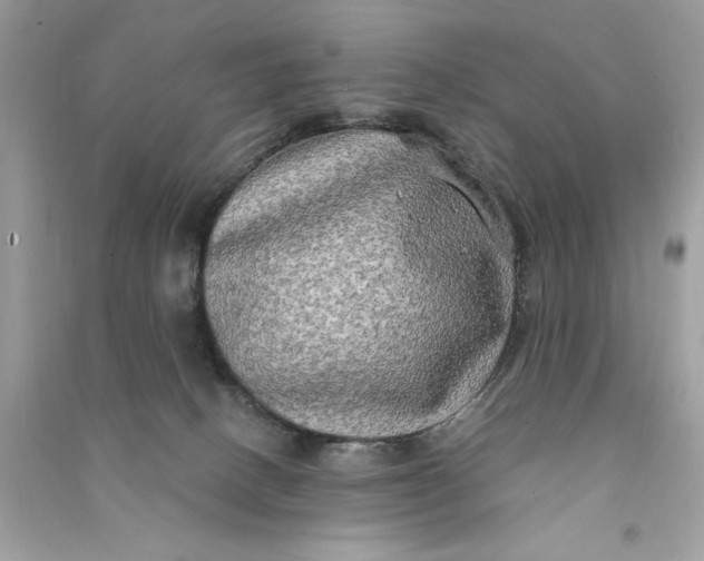 X0000090770082200708101819