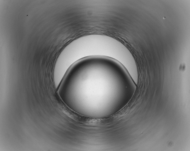 X0000090770084200708101819