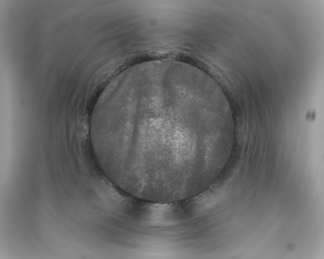 X0000090770085200708101819