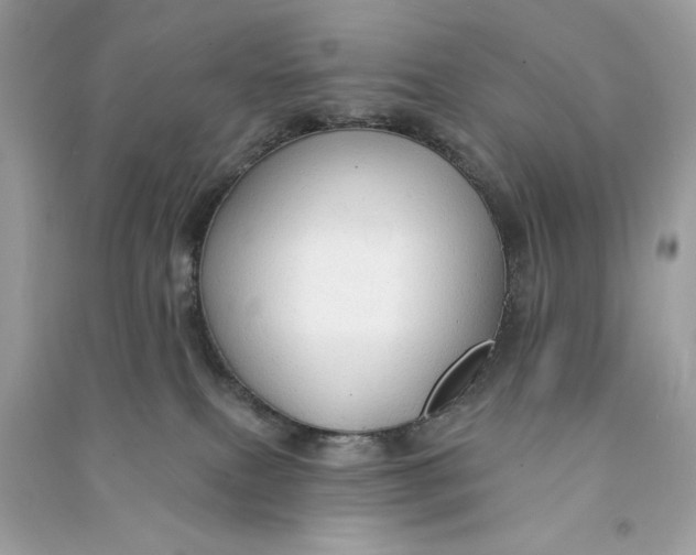 X0000090770087200708101819