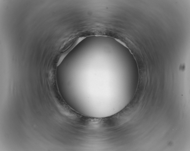 X0000090770088200708101819