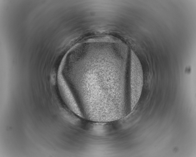 X0000090770090200708101819