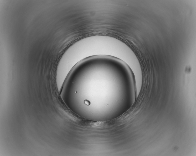 X0000090770092200708101819