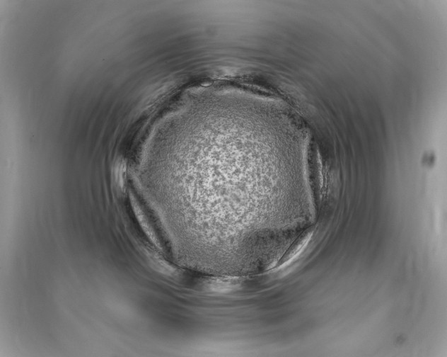 X0000090770094200708101819