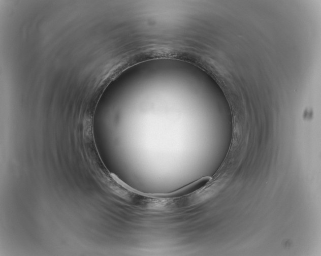 X0000090770096200708101819