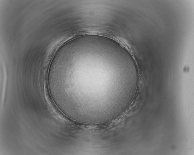 X0000090770097200708101819