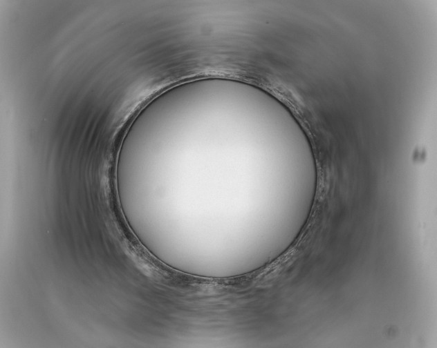 X0000090770098200708101819
