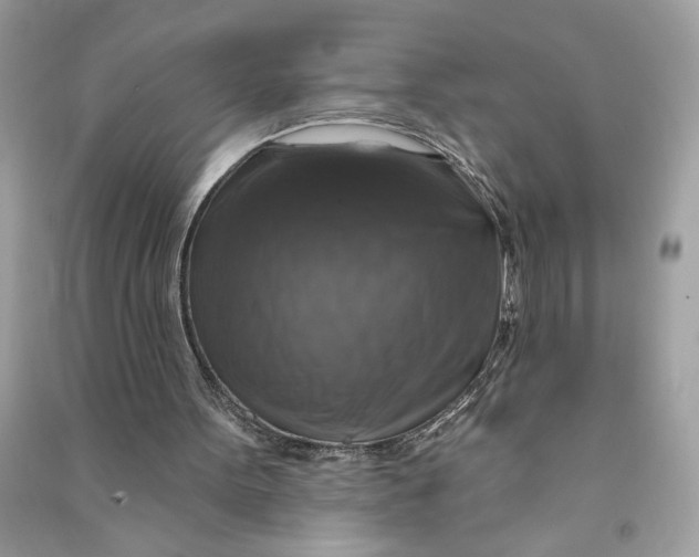 X0000090770099200708101819