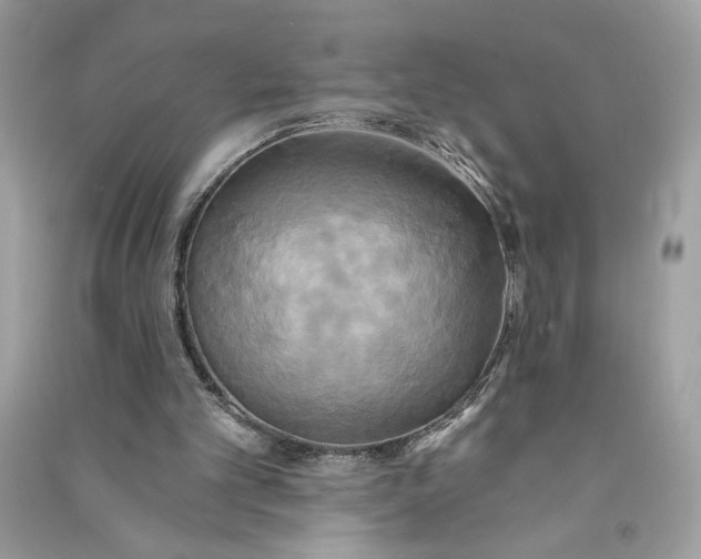 X0000090770101200708101819