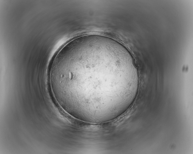 X0000090770102200708101819