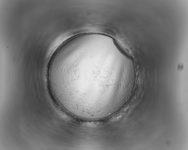X0000090770103200708101819
