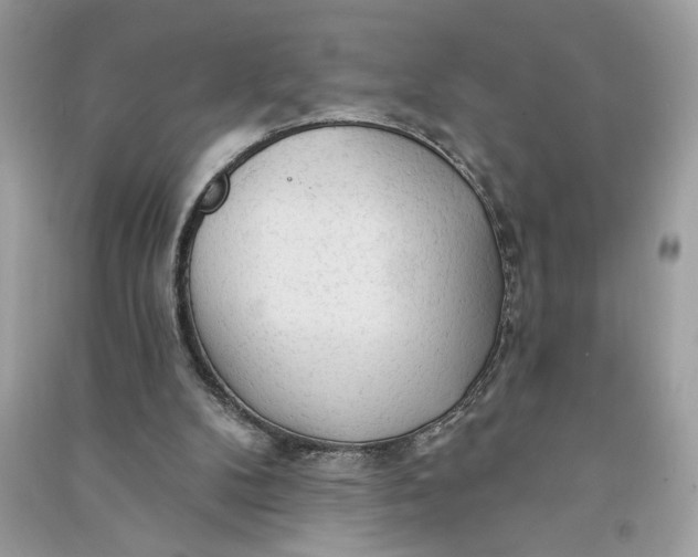 X0000090770104200708101819