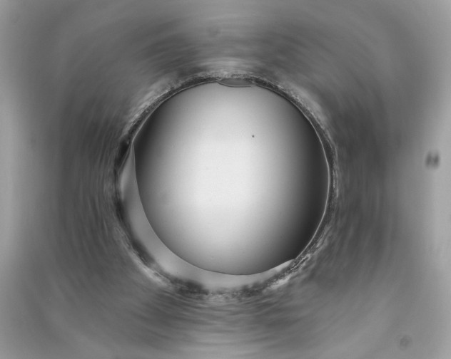 X0000090770105200708101819