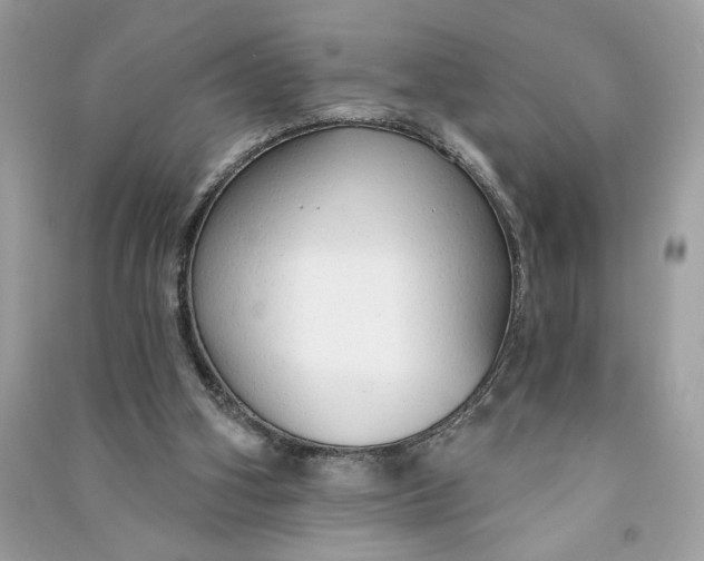 X0000090770106200708101819
