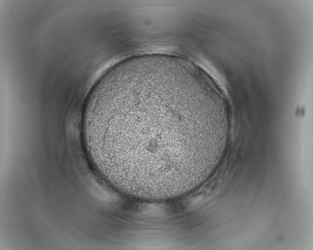 X0000090770107200708101819