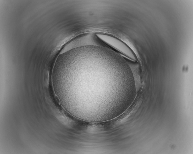 X0000090770109200708101819