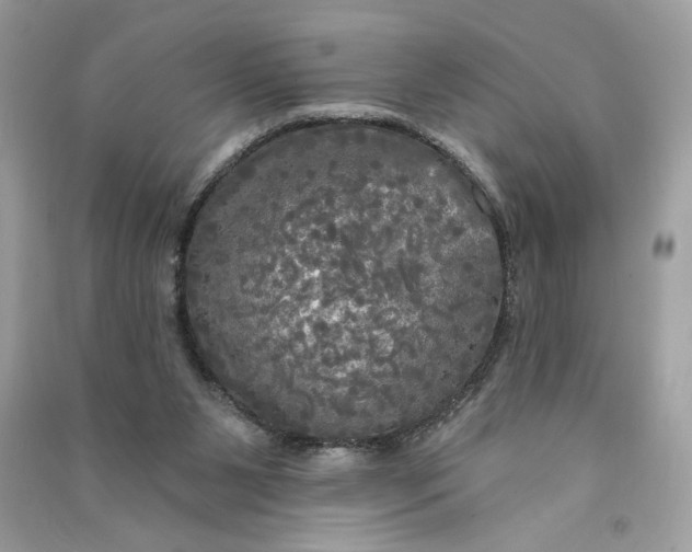 X0000090770111200708101819