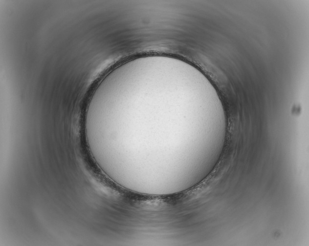 X0000090770112200708101819