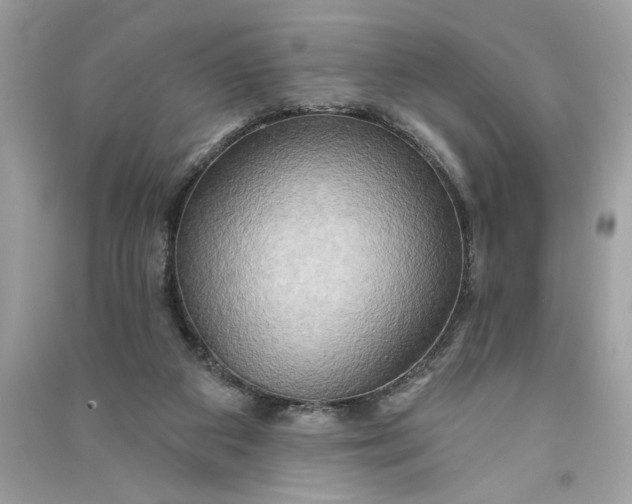 X0000090770113200708101819