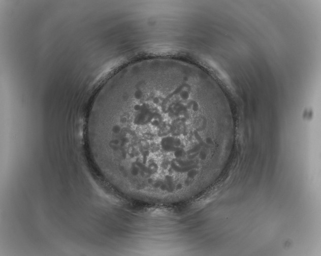 X0000090770115200708101818