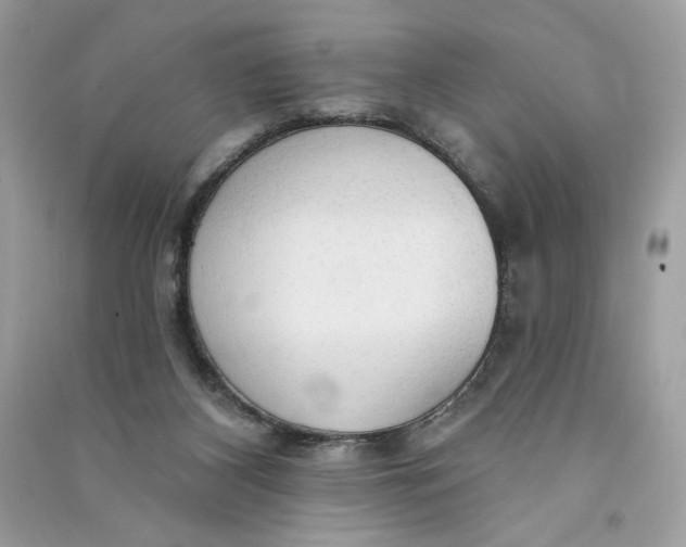 X0000090770116200708101818