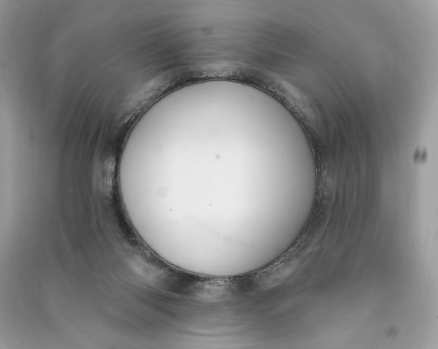 X0000090770118200708101818