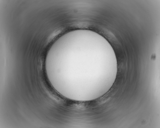 X0000090770120200708101818