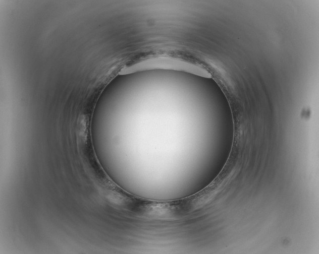 X0000090770121200708101818
