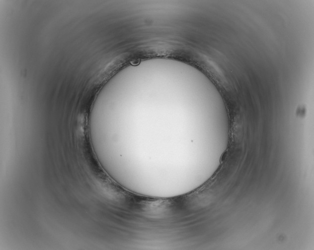 X0000090770122200708101818