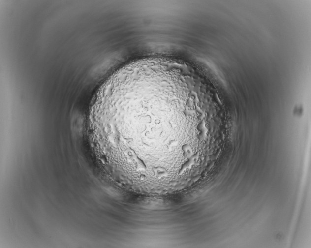 X0000090770123200708101818