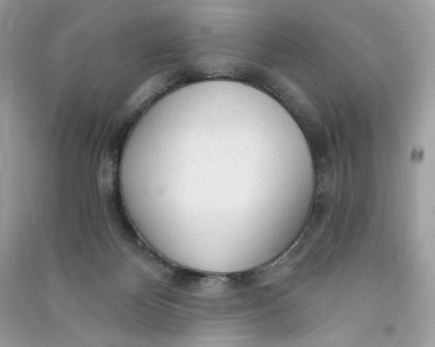 X0000090770124200708101818